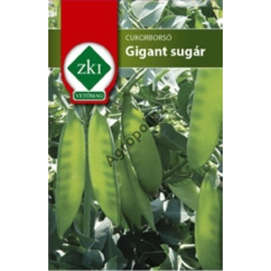 ZKI Gigant sugár cukor borsó vetőmag 50 g